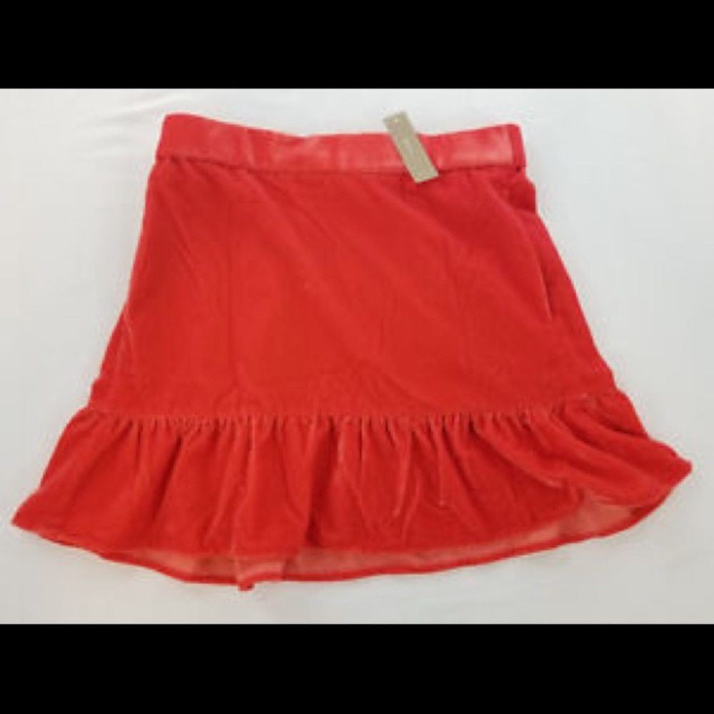 New J.crew skirt